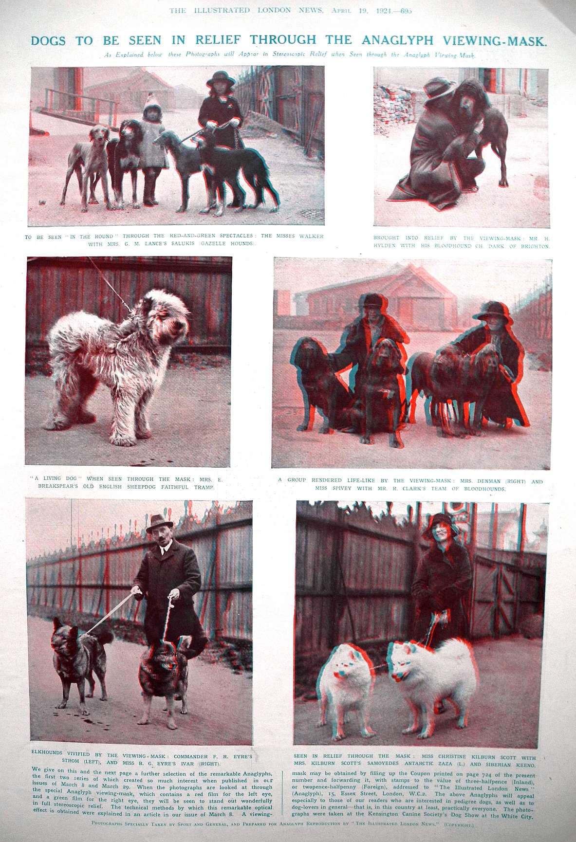 anaglyphs dogs
